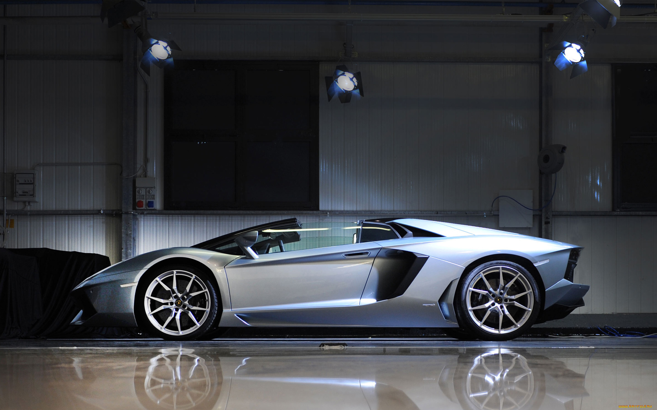, lamborghini